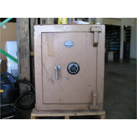 Phoenix Safe 001 Phoenix Safe 001
