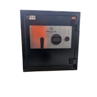 Dominator DS2 2024 Safe Dominator DS2 2024 Safe