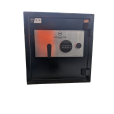 Dominator DS2 2024 Safe Dominator DS2 2024 Safe