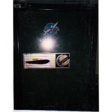 Godreij Safe 003