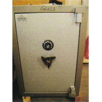 Guardmaster Safe 012