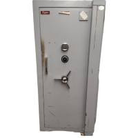 Ratner Safe TS001